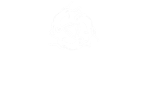 Dermadonna Custom Tattoos Amsterdam Logo