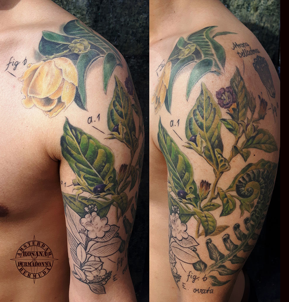 Colour Realism tattoo, Botanical Tattoo