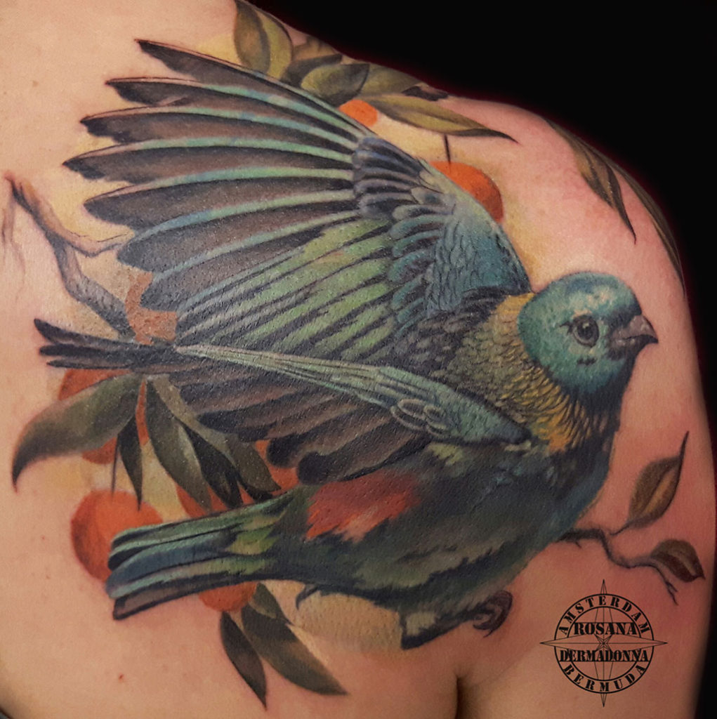 Colour Realism Bird Tattoo