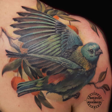 Colour Realism Bird Tattoo on shoulder