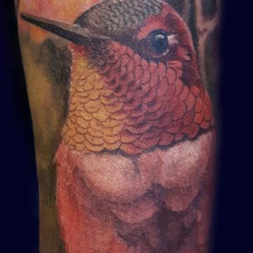Colour Realism Tattoo, Realistic Tattoo, Bird Tattoo, Colour Tattoo