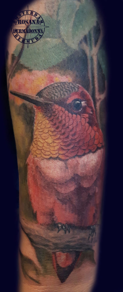 Colour Realism Tattoo, Realistic Tattoo, Colour Tattoo