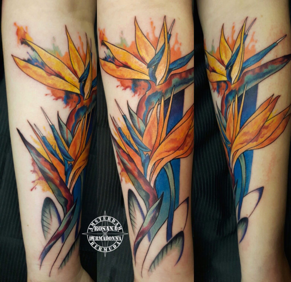 Botanical Tattoo, Watercolour Tattoo by Rosana