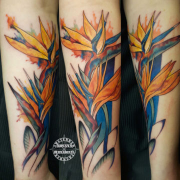 Botanical Watercolour Tattoo on lower arm