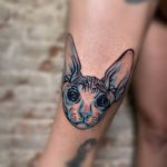 Small Colour Tattoo of a cat