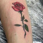 Rose Tattoo, Floral Tattoo, Colour Tattoo, Cute Tattoo, Feminine Tattoo, Magali Blackspirit , Amsterdam Tattoo