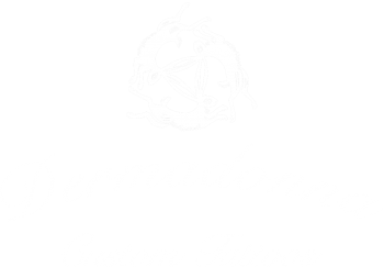 Dermadonna Custom Tattoos Amsterdam Logo
